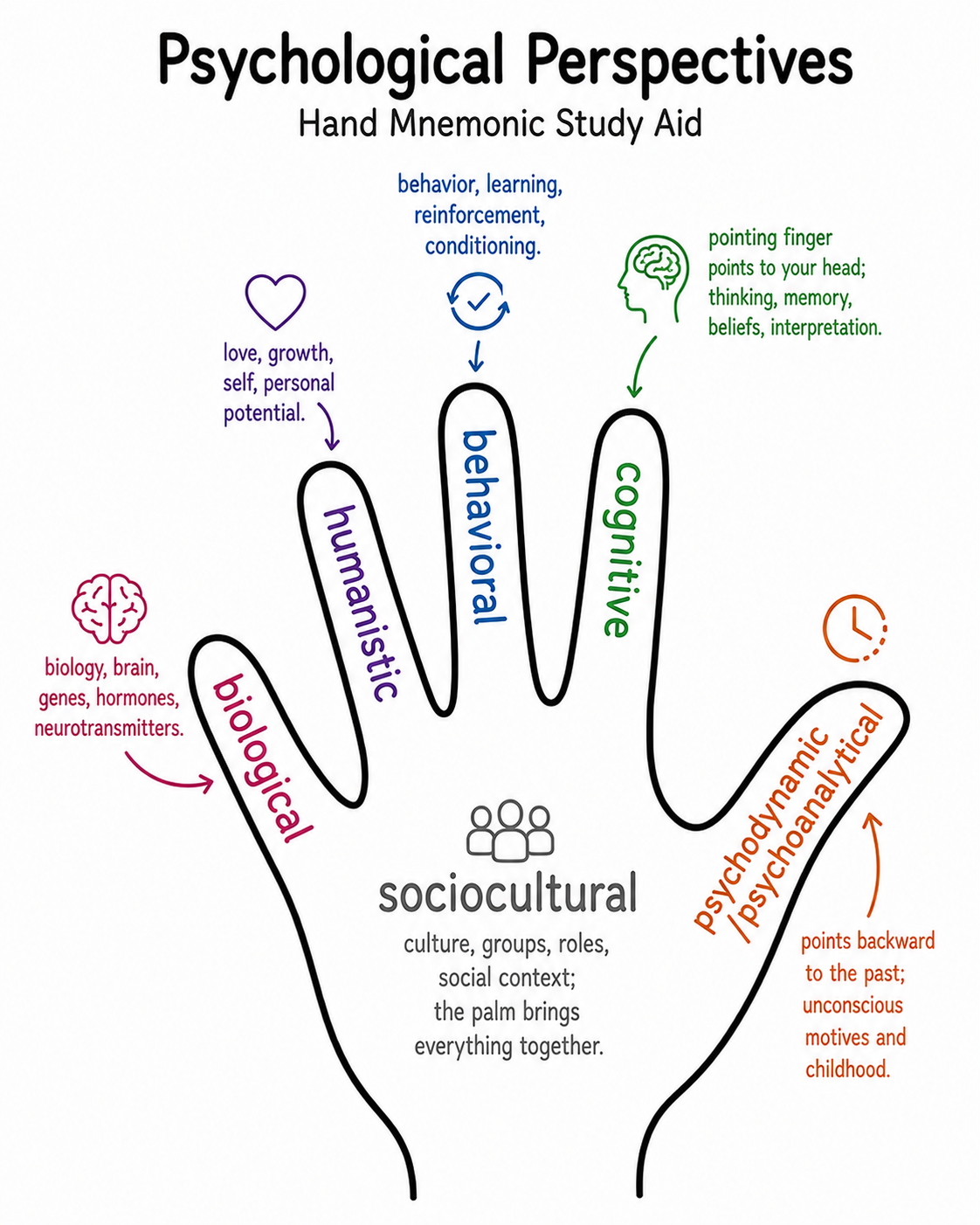 Hand mnemonic linking the biological, humanistic, behavioral, cognitive, psychodynamic, and sociocultural perspectives to memory cues.